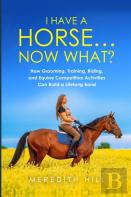 I Have A Horse... Now What