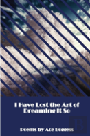 I Have Lost The Art Of Dreaming It So