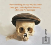 I Have Nothing To Say, Only To Show / Does Gen I Ddim Byd I'W Ddweud, Dim Ond I'W Ddangos
