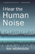 I Hear The Human Noise
