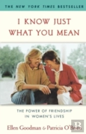 I Know Just What You Mean