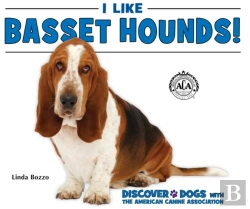 Bertrand.pt - I Like Basset Hounds!