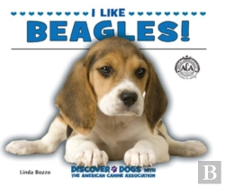 Bertrand.pt - I Like Beagles!