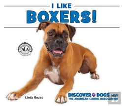Bertrand.pt - I Like Boxers!