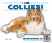 I Like Collies!