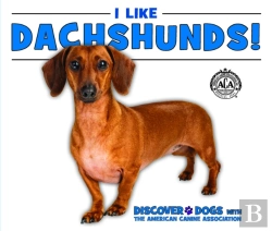 Bertrand.pt - I Like Dachshunds!