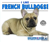 I Like French Bulldogs!