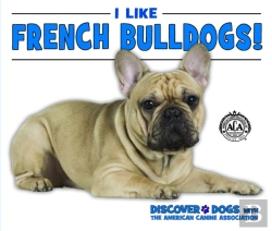 Bertrand.pt - I Like French Bulldogs!