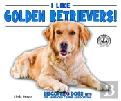 I Like Golden Retrievers!