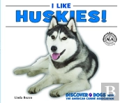 I Like Huskies!