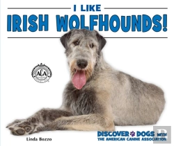 Bertrand.pt - I Like Irish Wolfhounds!