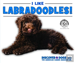 Bertrand.pt - I Like Labradoodles!