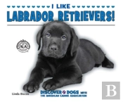 I Like Labrador Retrievers!