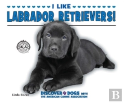 Bertrand.pt - I Like Labrador Retrievers!