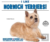 I Like Norwich Terriers!