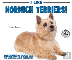 Bertrand.pt - I Like Norwich Terriers!