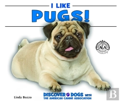 Bertrand.pt - I Like Pugs!