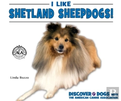 Bertrand.pt - I Like Shetland Sheepdogs!