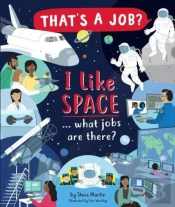 I Like Space ... What Jobs Are There?