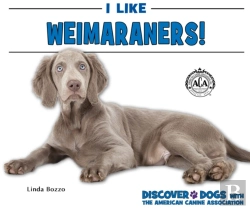 Bertrand.pt - I Like Weimaraners!