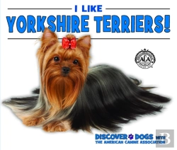 Bertrand.pt - I Like Yorkshire Terriers!