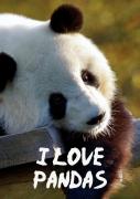 I Love Pandas Notebook