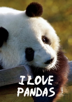 Bertrand.pt - I Love Pandas Notebook