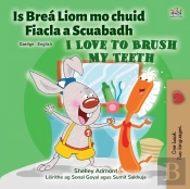 I Love To Brush My Teeth (Irish English Bilingual Children'S Book)