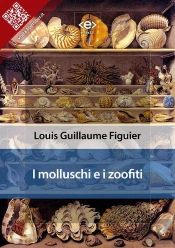 I Molluschi E I Zoofiti