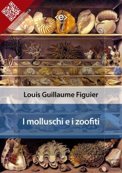 Bertrand.pt - I Molluschi E I Zoofiti