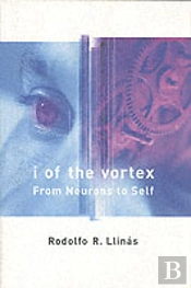 I Of The Vortex