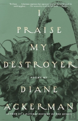 Bertrand.pt - I Praise My Destroyer