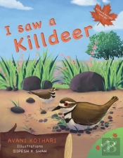 I Saw A Killdeer