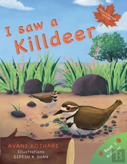 Bertrand.pt - I Saw A Killdeer