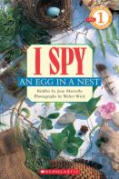 I Spy An Egg In A Nest