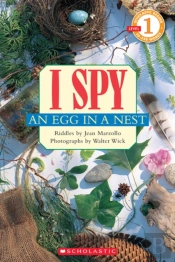 I Spy An Egg In A Nest