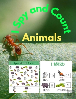 Bertrand.pt - I Spy And Count Animals