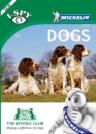 I-Spy Dogs