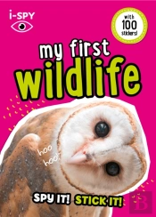 I-Spy My First Wildlife
