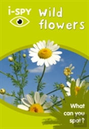 I-Spy Wild Flowers