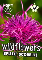 I-Spy Wildflowers