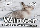 I-Spy Winter