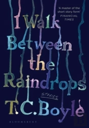 I Walk Between The Raindrops