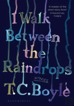 Bertrand.pt - I Walk Between The Raindrops