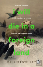 I Will Die In A Foreign Land