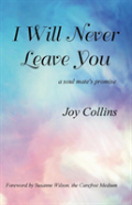 I Will Never Leave You