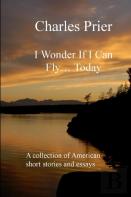 I Wonder If I Can Fly... Today