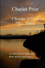 I Wonder If I Can Fly... Today