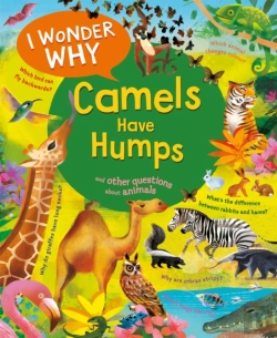 Bertrand.pt - I Wonder Why Camels Have Humps