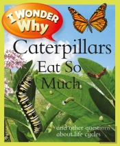 I Wonder Why Caterpillars Eat So Much